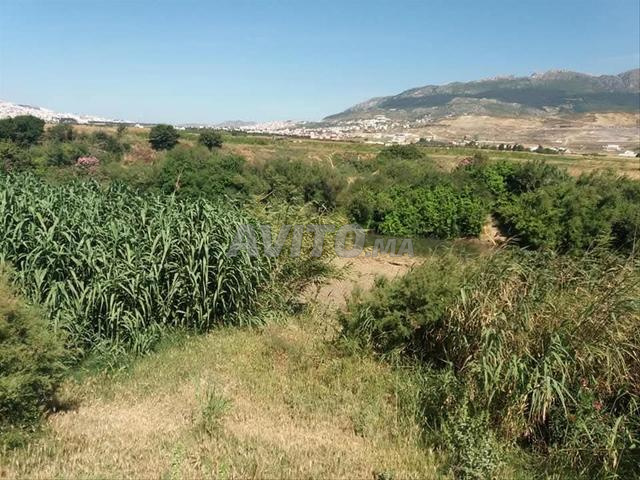 Terrain agricole enregistré à vendre, sortie de Tétouan, sur la route de Tanger - 2
