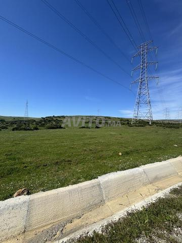 قطعة أرضية للبيع بثمن هوتة - 2