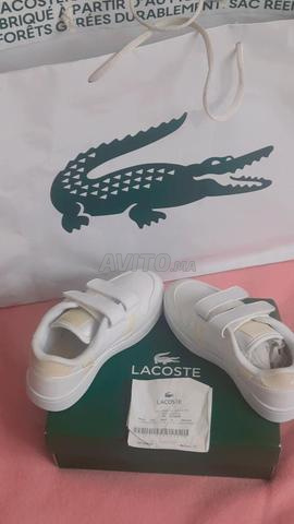 حذاء سبيدريل لاكوست للأطفال مقاس 27 و 29 - 2