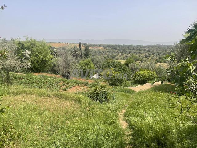 أرض فيلا أو مشروع في بلايسانس 4600 متر