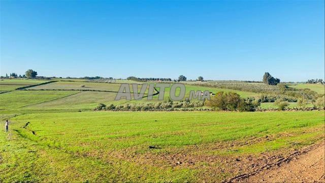 أراضي، مزارع وفيلات في سيدي رحال - 2