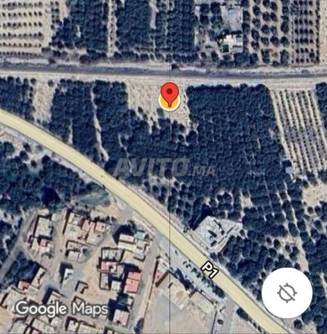 أرض فلاحية للبيع - 2