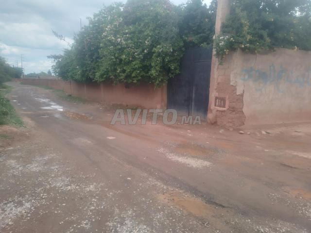 مزرعة سند ملكية - 2