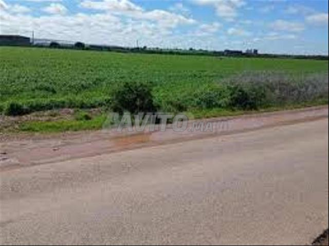 أراضي ومزارع للبيع - سيدي رحال