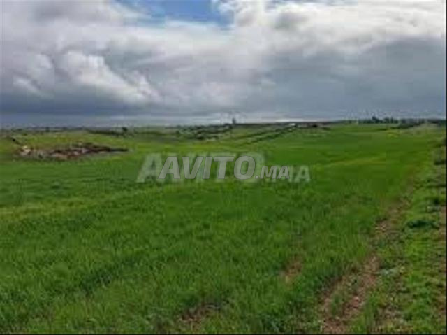 أراضي ومزارع للبيع - سيدي رحال - 2