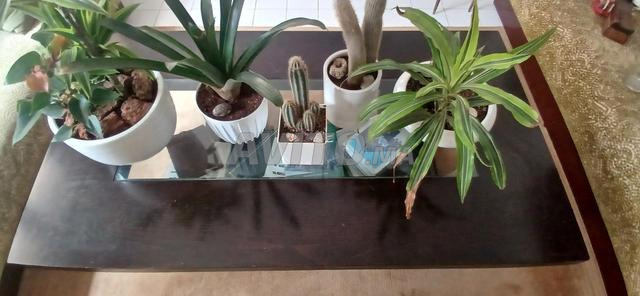 طاولة صالون آرت ديكو