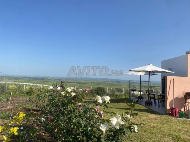 مزرعة صغيرة ساحرة تحمل سند ملكية بالقرب من الرباط 1.23 هكتار