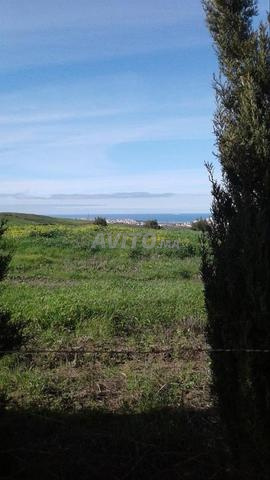 Terrain 500m2 avec Autorisation Dépôt Vue sur Mer - 2