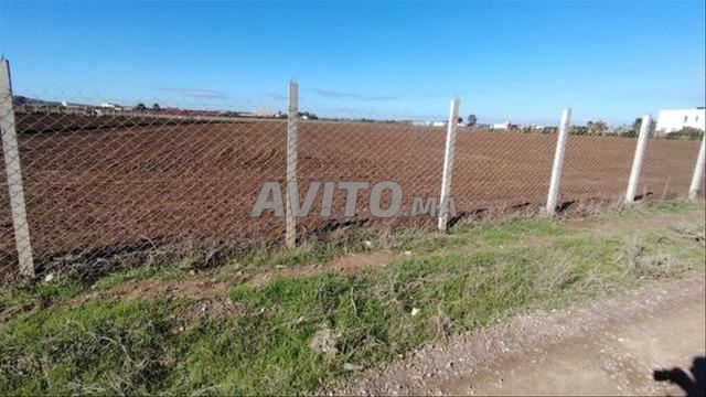 أراضٍ محفظة بسيدي رحال - 2