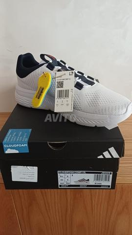 Adidas Original - 2