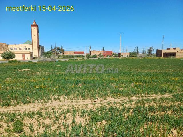 أرض مسجلة مناسبة للتجزئة أو مزرعة - 2