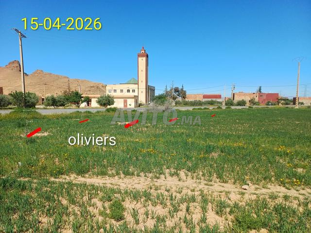 أرض مسجلة مناسبة لمشروع تقسيم أو مزرعة - 2