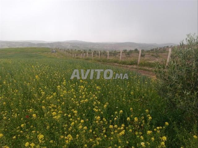 بير جديد - أراضٍ محفظة للسكن والبناء والاستثمار - 2