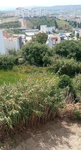 أرض محفظة - 2