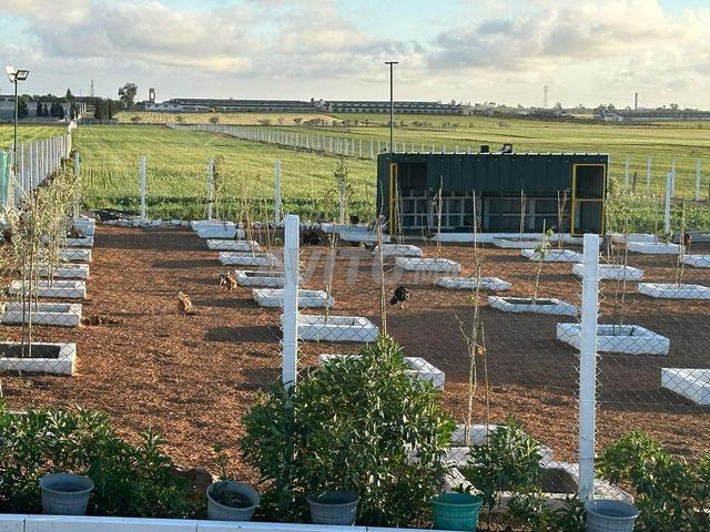 Ferme titrée Hedd Soualem 20000 m2 - 2