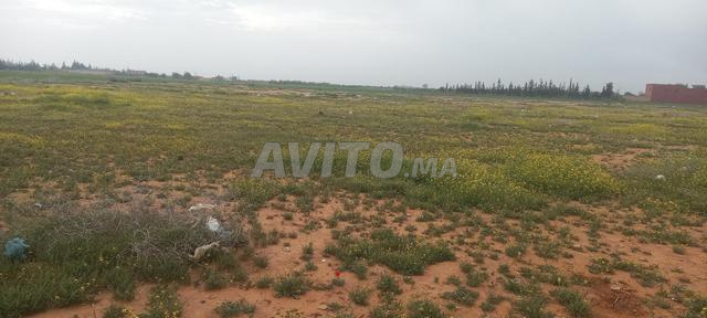 قطعة أرضية للبيع - 2