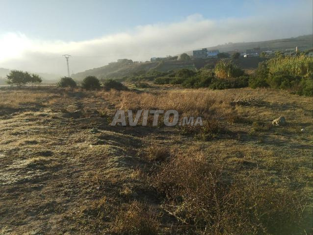 بقعة أرضية للبيع بدوار بوعباد - 2