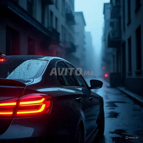 Chauffeur professionnel 20 ans d’expérience