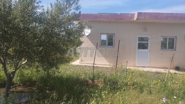 Ferme à vendre à Tadouawat - 2