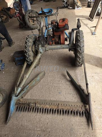 Olimpia Lombardini - 2