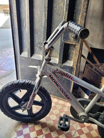 دراجة من هولندا - 2