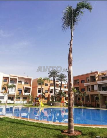 استوديو نور سكن طرقة مع مسبح - 2