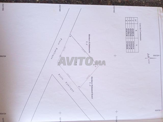 طنجة وسط المدينة - 2