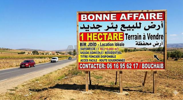Terrain titré de 1 hectare à vendre à Bir Jdid
