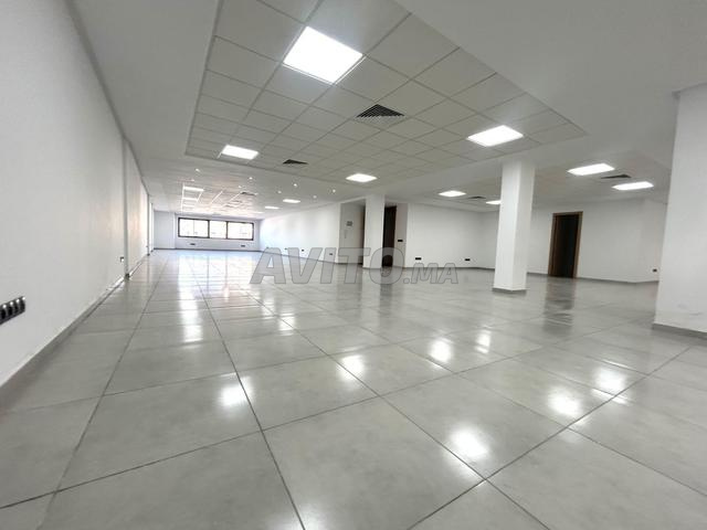 Bureaux neufs Oulfa - 2