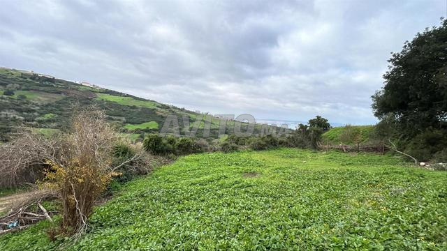 أرض بإطلالة على البحر - 2