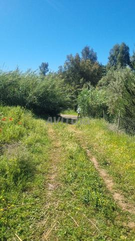 أرض فلاحية حد ران إقليم الخميسات - 2