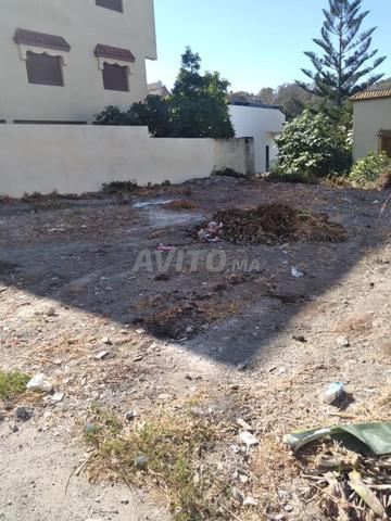 أرض فيلا للبيع في طنجة كاليفورنيا