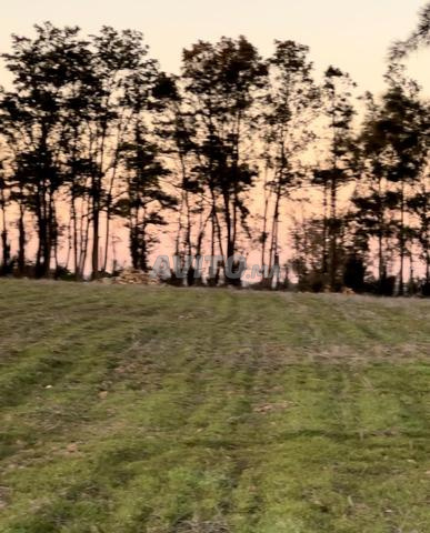 بيع أرض 2500 متر مربع - 2