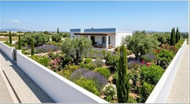 فيلا جميلة مع سند ملكية للبيع - 2