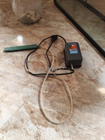 حوض سمك - aquarium  - 2