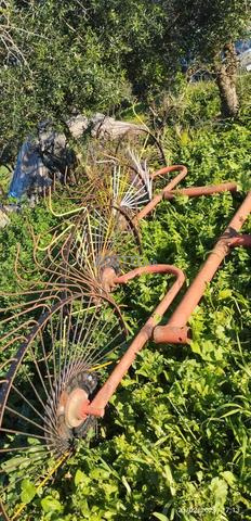 للمرابيح جرف الملحة - 2