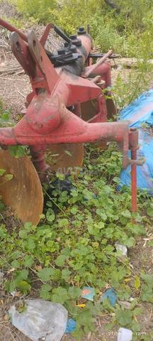 Pour les bénéfices de la falaise de Selha