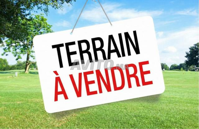 Terrain titré à vendre 12.000m2 à Issen