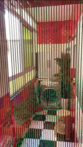 شقة للكراء اليومي بمدينة مرتيل قرب البحر - 2