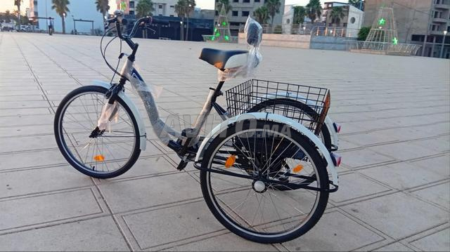 Tricycle – Confort et sécurité à chaque déplacement - 2