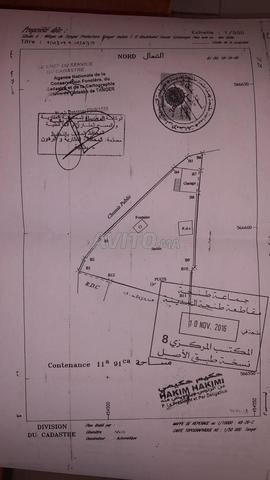 أرض 1191 م² – كزنَايا (دير)، طنجة - 2