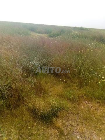 TERRAIN AGRICOLE TITRÉ À VENDRE 14 HA - 2