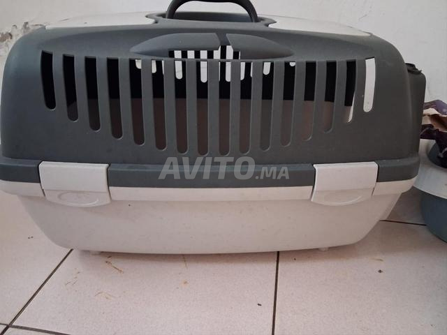 بيع قفص نقل و صندوق فضلات للقطط