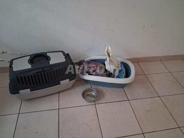 بيع قفص نقل و صندوق فضلات للقطط - 2