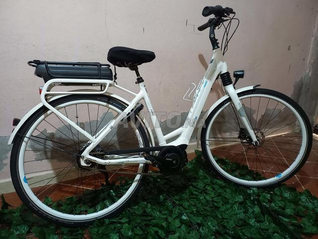 وجدة للمدينة - 2