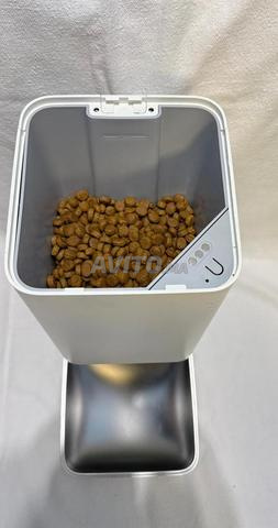 موزع طعام آلي