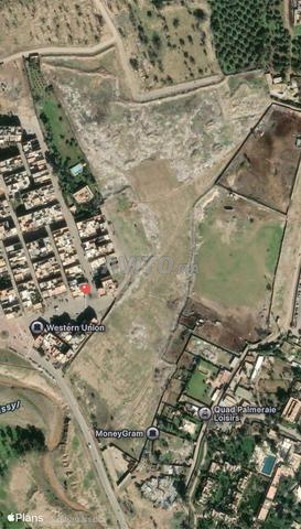 Terrain titré à vendre – Palmeraie de Marrakech 🌴 - 2