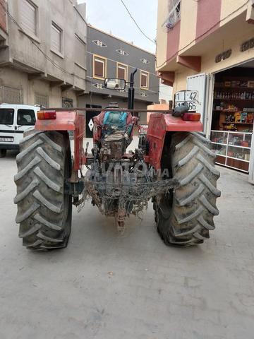 القصر الكبير - 2