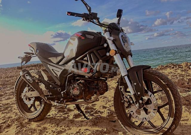 CIMATTI MONSTER (M4) 2023 - 2