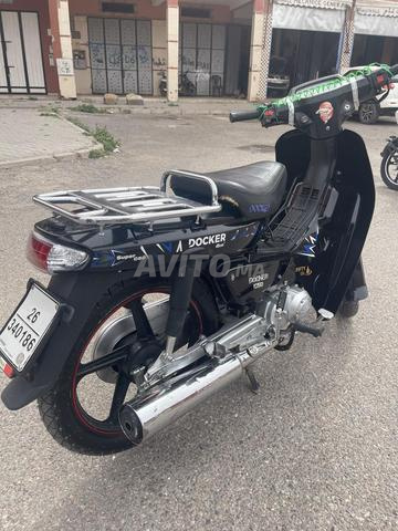 موديل C50 2023 - 2